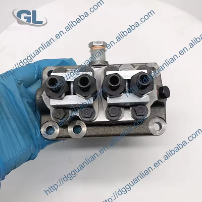 China New Made Fuel Injection Pump Head 1J700-51011 104130-4010 F01G09Y02F kompatibel mit dem Kubota V2607