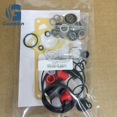 Neue hochwertige Diesel-Reparatur-Kits 7135-126 Gaskett-Kit 31540 Injektor-Pumpen-Kit 7135126